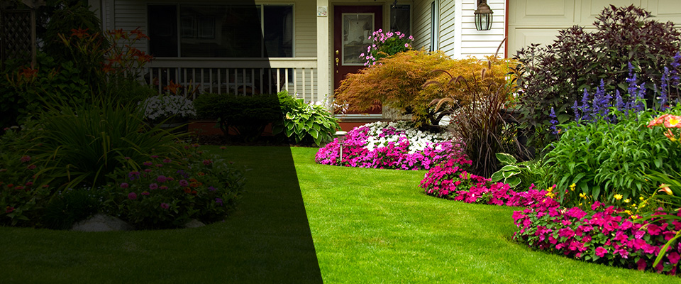 Leo Landscapers