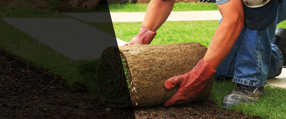 Leo Landscapers